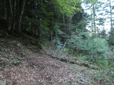 Croisement Bois Chourlot