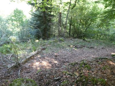 Croisement Bois Chourlot 2