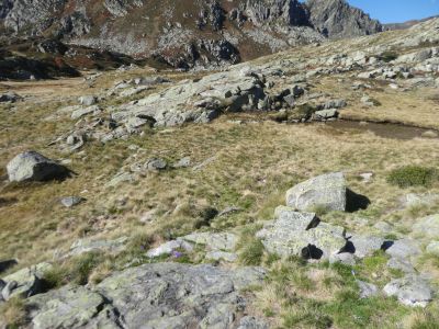 Croisement Etangs Neych