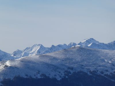 Vue Plénière