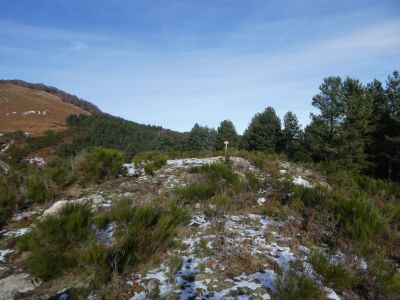 Descente Taus