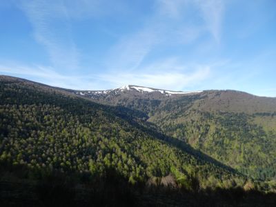 Vue Therme