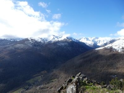 Vue Artax