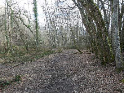Croisement Bédeilhac / Calamès