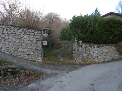 Taillant
