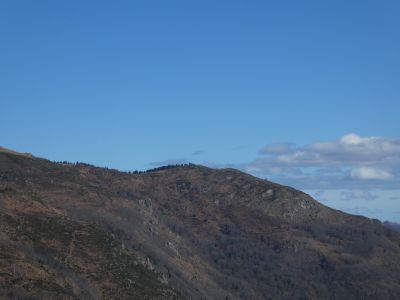 Vue Taus