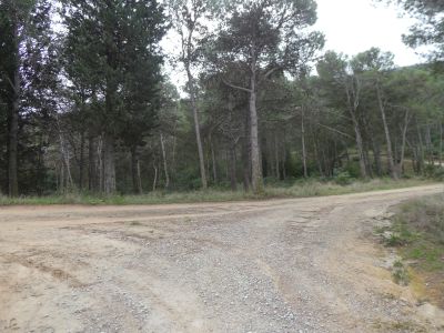 Croisement après Alaric