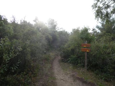 Croisement GR36 Blanquier