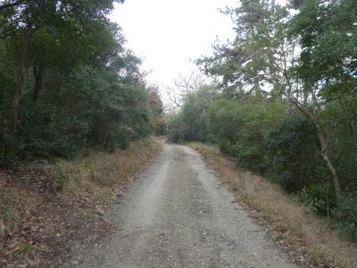 Croisement montée Miramont