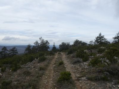 Descente Miramont