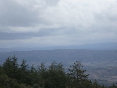 Vue Coque