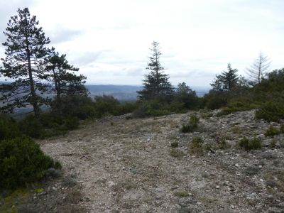Croisement après Miramont