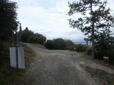 Croisement GR36 / variante