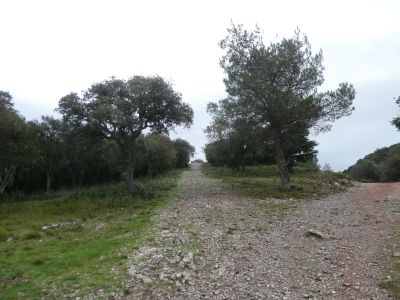 Croisement belvédère
