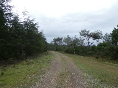 Croisement GR36 après Carla