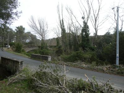 Croisement D41