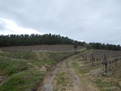 Croisement après fin D3