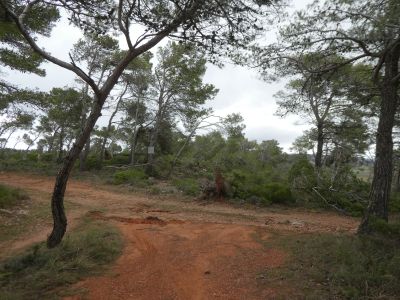 Croisement après fin D3 3