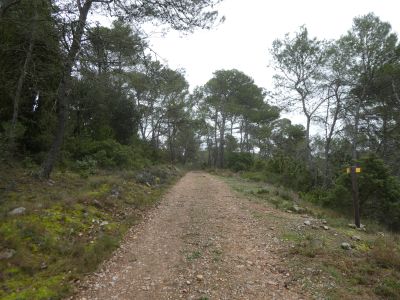 Croisement GRP Aude Médiévale