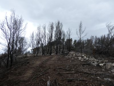 Vue montée Cagalière