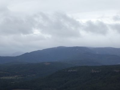 Vue Fel