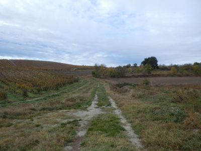 Croisement après Lacaze