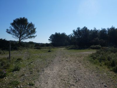 Croisement après Font Aubarne 2