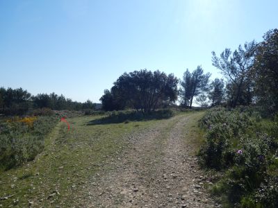 Croisement après Font Aubarne 3