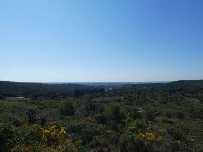 Vue garrigue 2