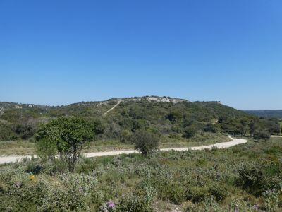 Vue Dent Roquecourbe