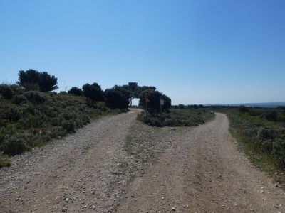 Vue Capitelles Bernis 5