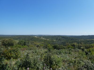 Vue garrigue 3