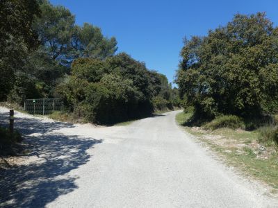 Croisement après Capitelle Candelon 2
