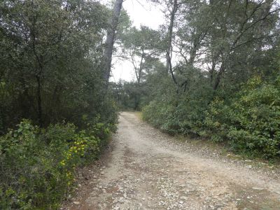 Croisement après Vestides