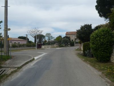 Cèdreraie Expérimentale