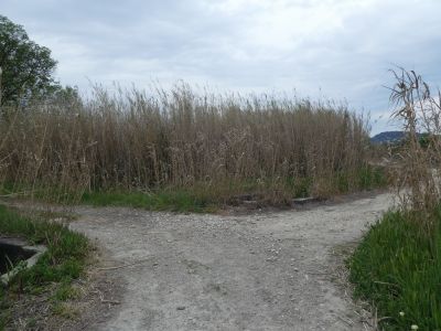 Croisement après Escaraux 2