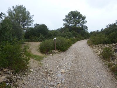 Croisement Capitelle 3