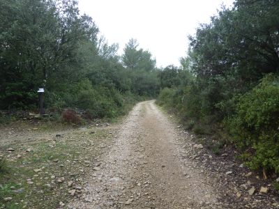 Croisement Capitelle 17