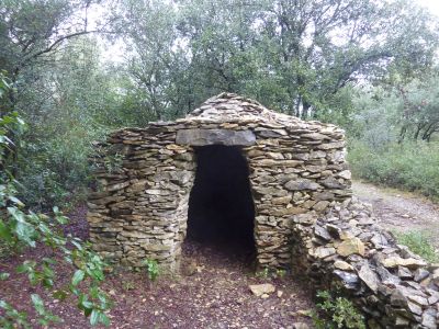 Capitelle Pins Simon