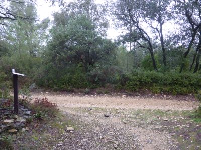 Croisement Capitelle 17 2