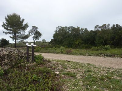 Croisement Capitelle 6 3