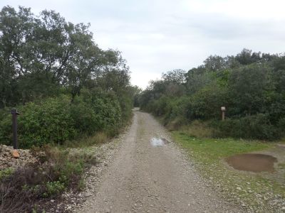 Croisement Capitelle 12