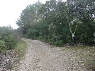 Croisement Capitelle 14