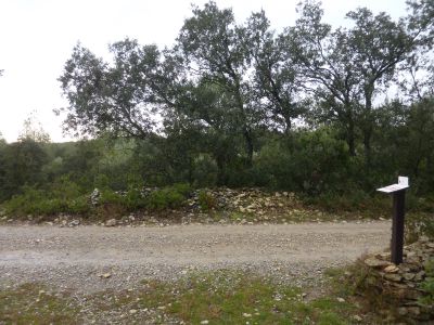 Croisement Capitelle 1 2