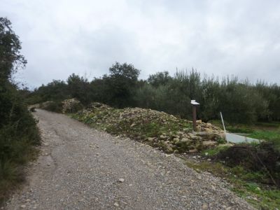 Croisement Capitelle 2