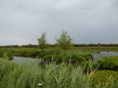 Vue Marais Cougourlier