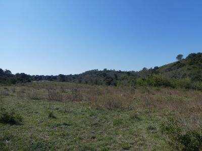 Vue garrigue
