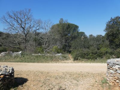 Croisement Capitelle Figuiers 2