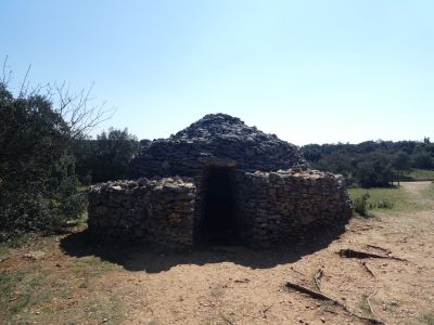 Vue Capitelle Cèdres