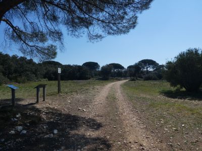 Croisement Capitelle Seule